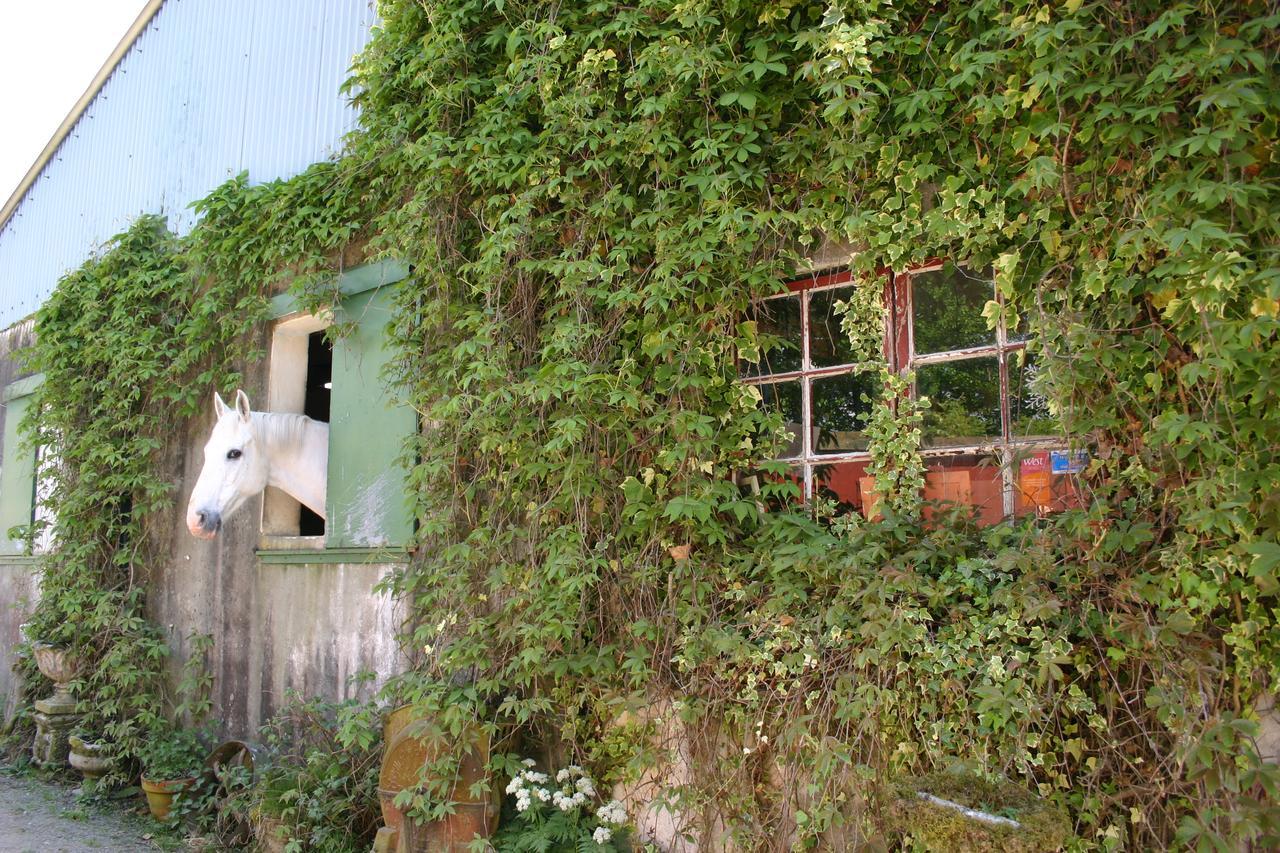 Slieve Aughty Centre Bed & Breakfast Loughrea Exterior photo